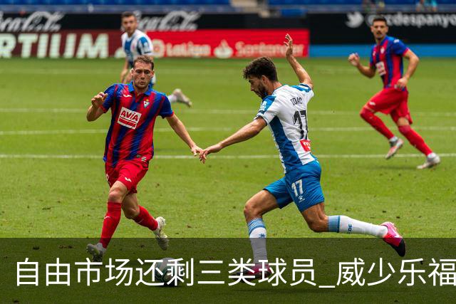 自由市场还剩三类球员 威少乐福领衔失业大军？